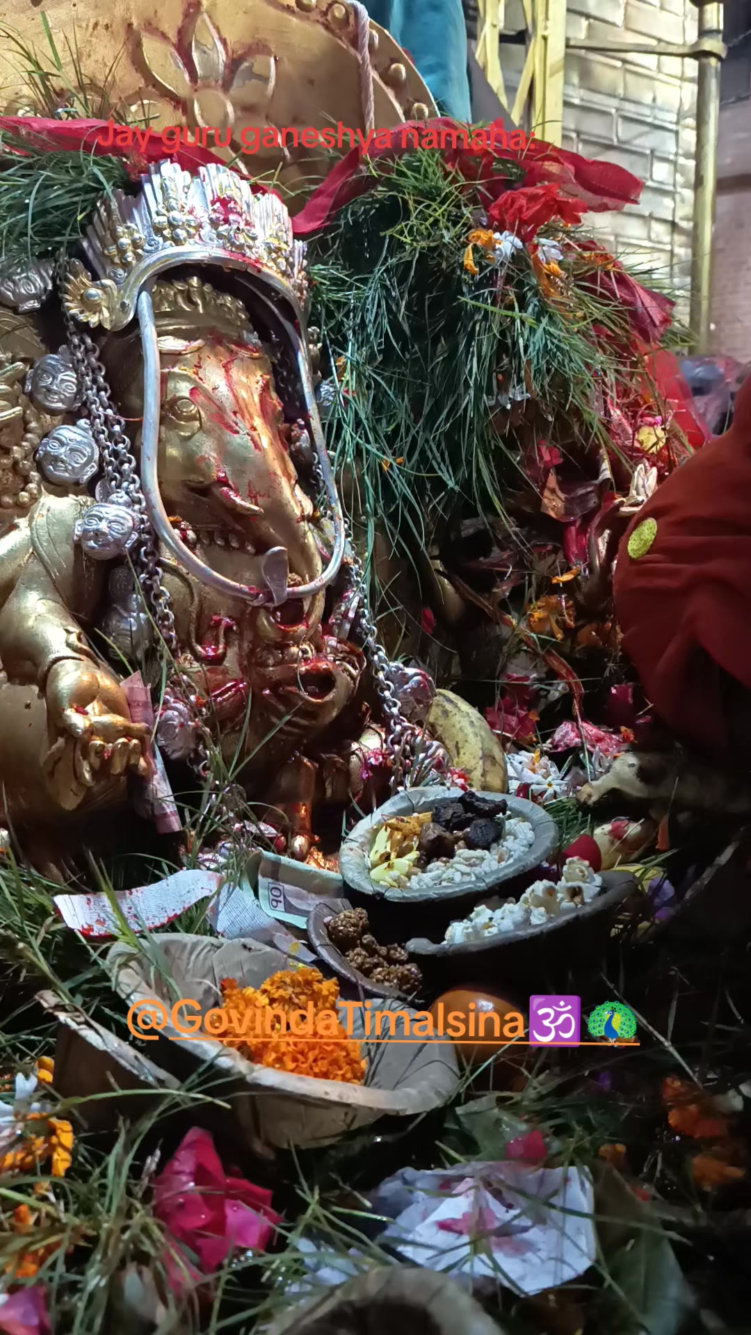 @Govinda Timalsina🕉🦚