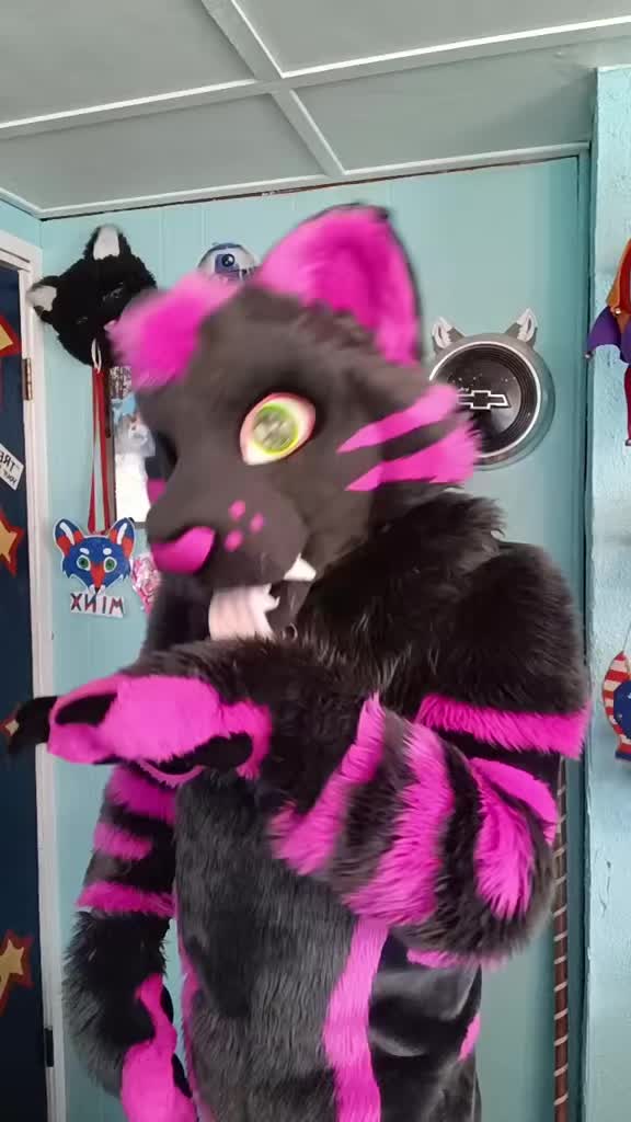 @dingbat 🐾 mew,mew 🐾