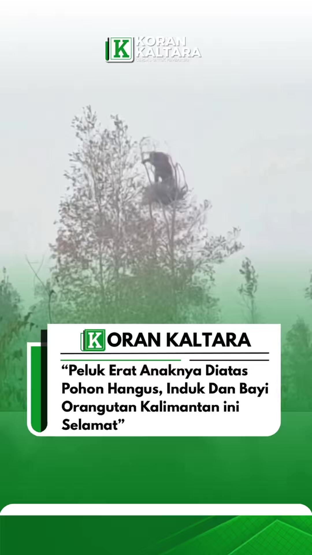 @korankaltara