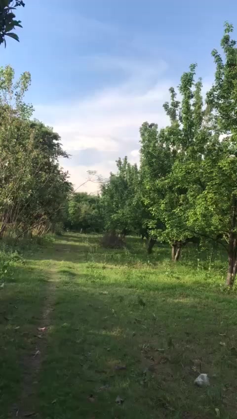 @🇵🇰محمد وقار یوسفزئی🇸🇦
