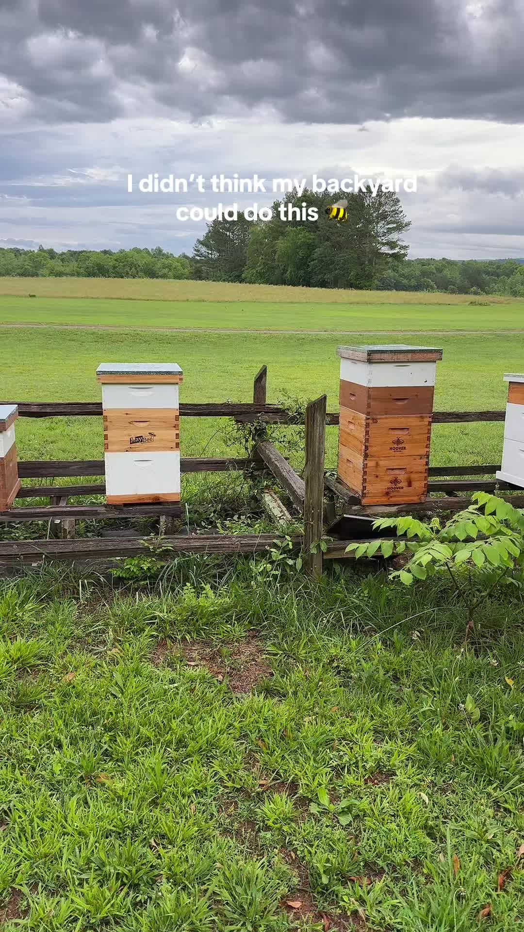 @theermaneggstravaganza