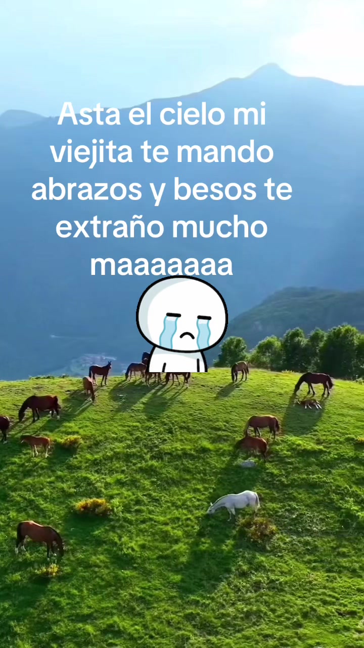 @ALMA MAYCOT