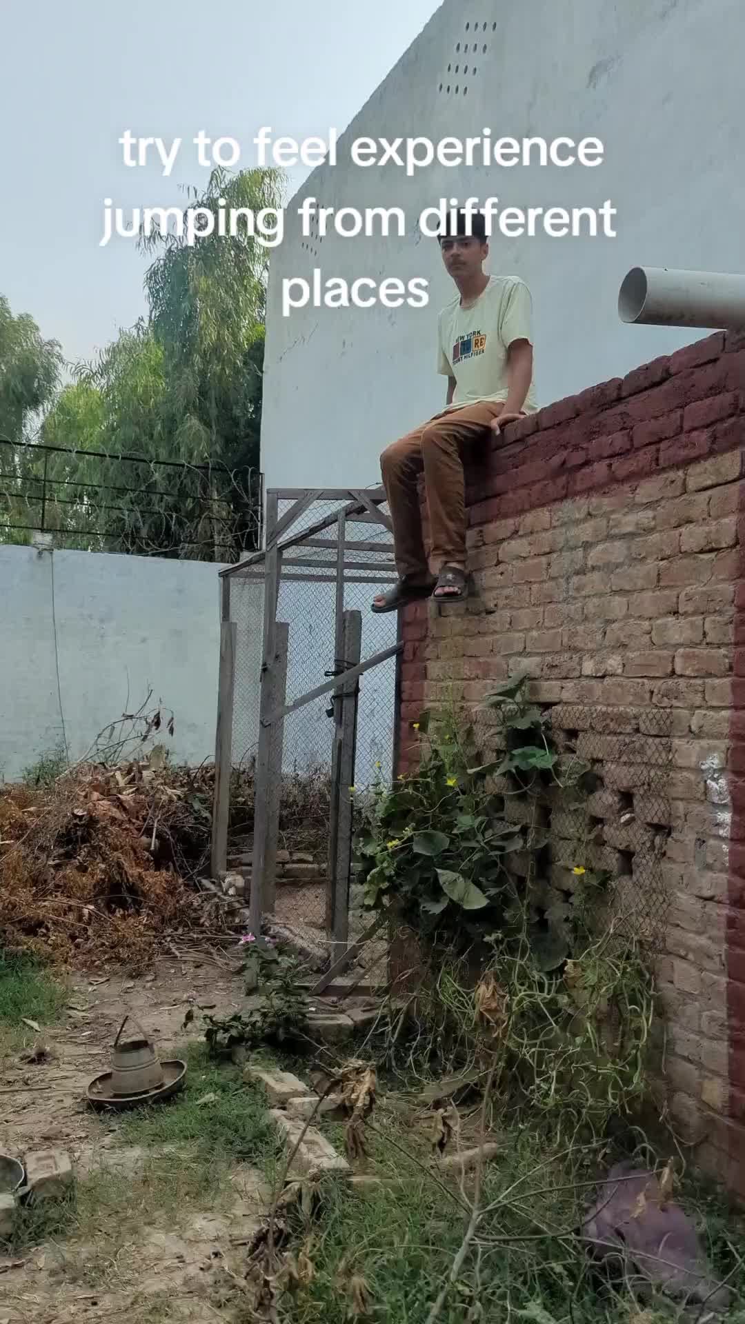 @Ghazan Mangol