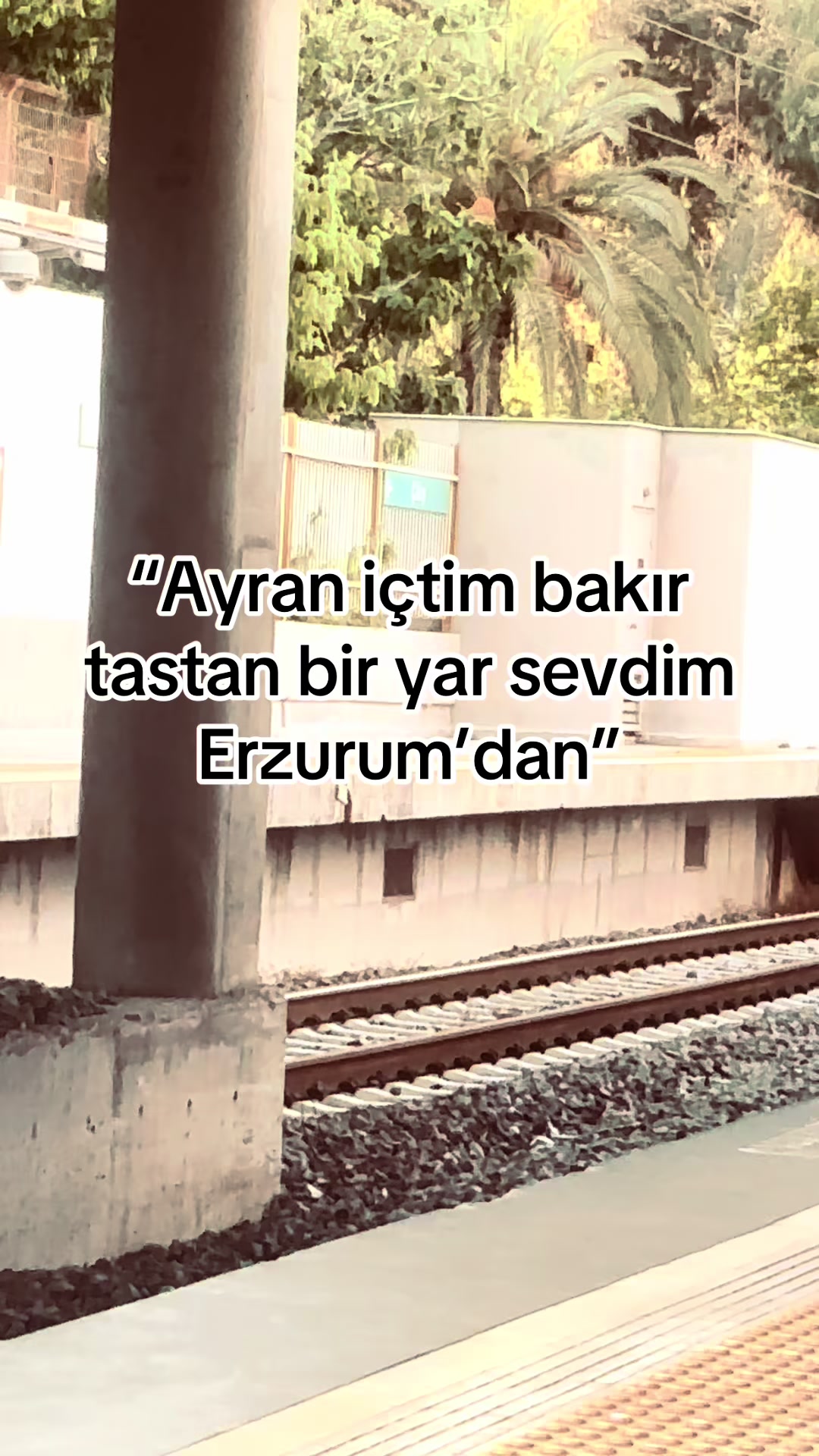 @storhanem63.01