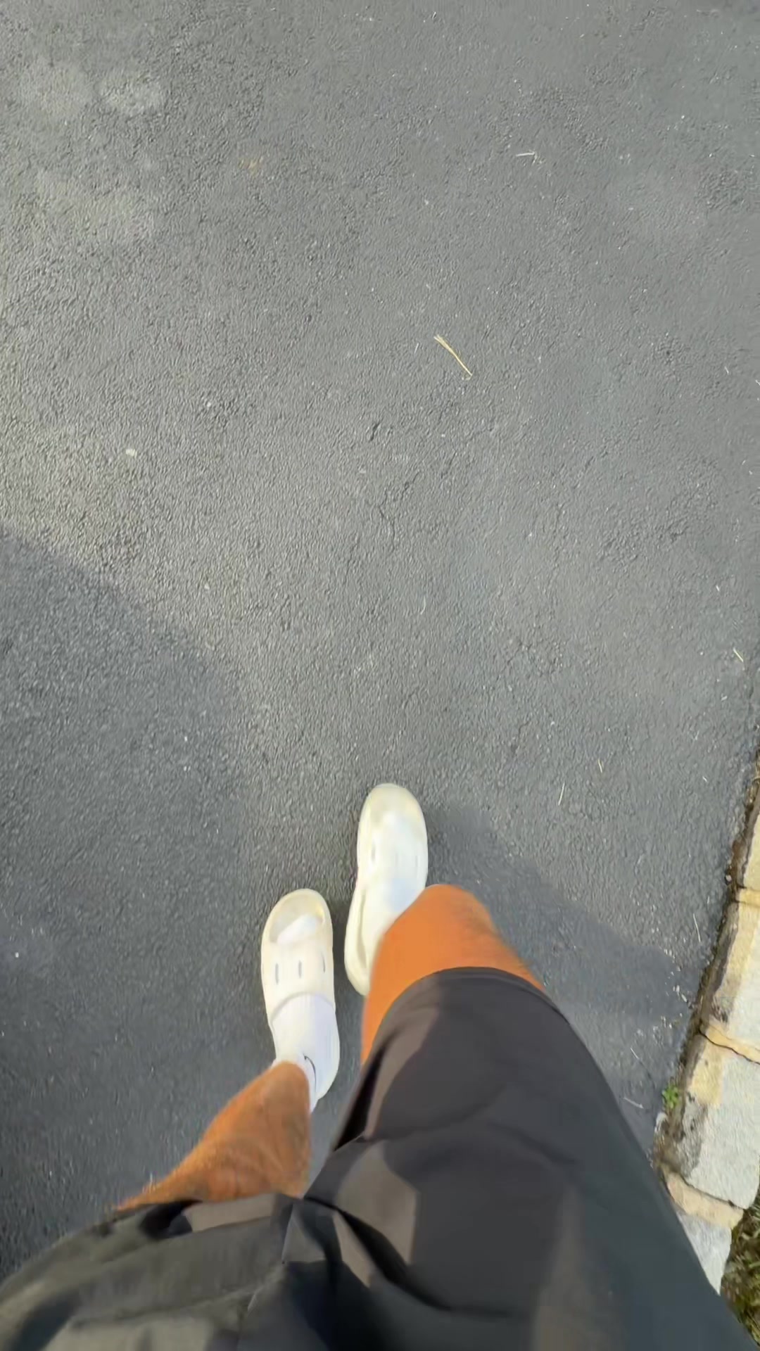 @ecomgom