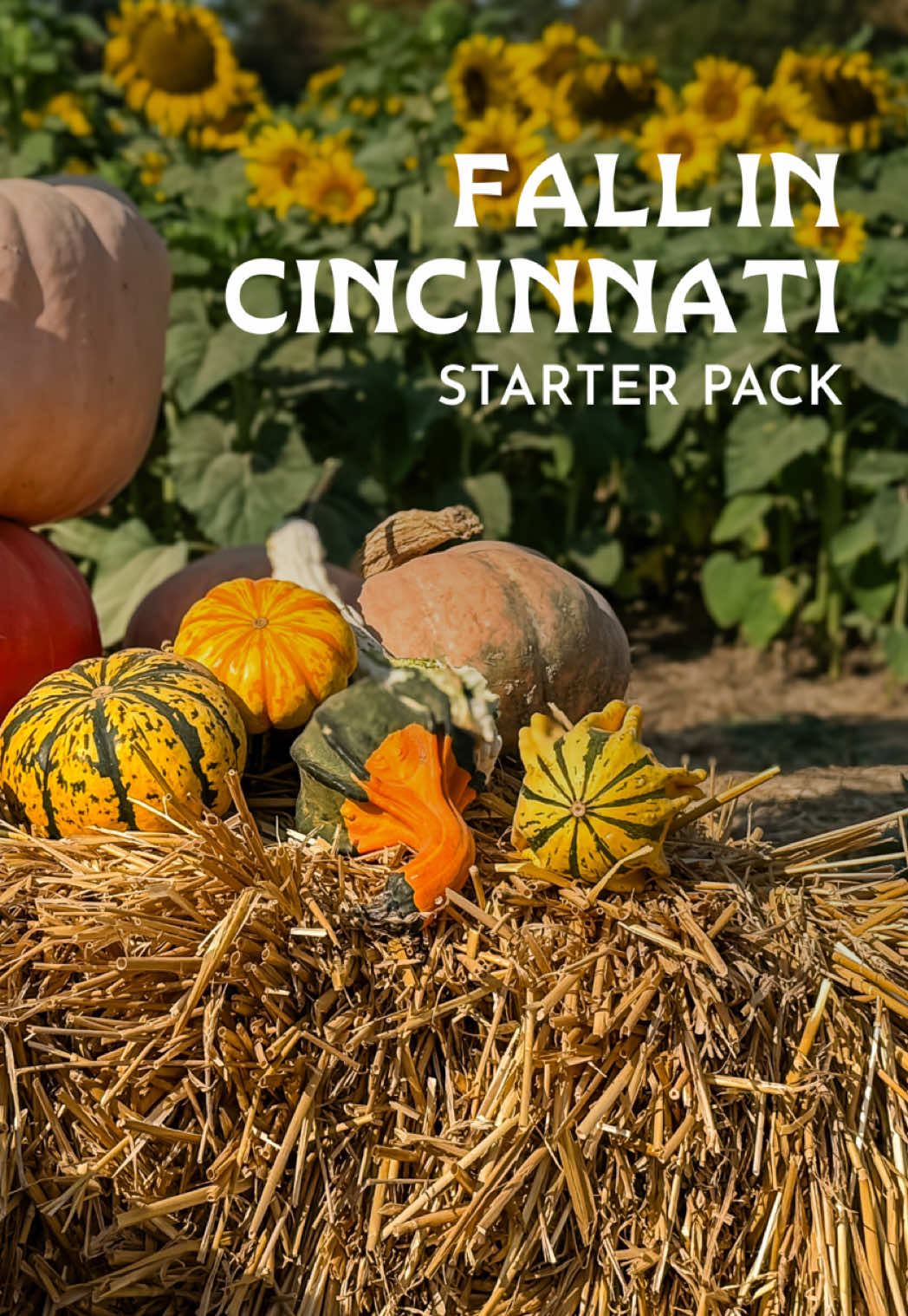 @Cincy Experience
