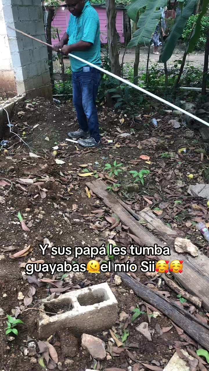 @Genesis