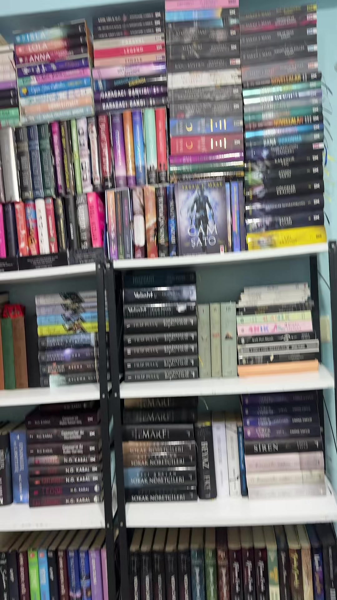 @laviniaabookss