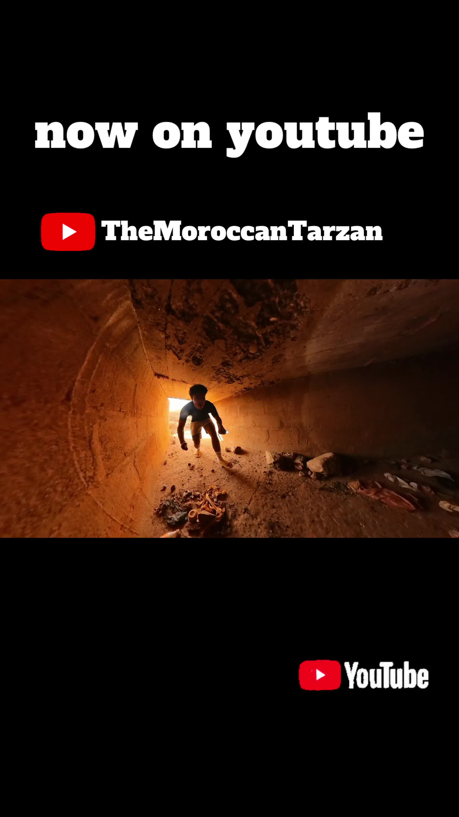 @themoroccantarzann