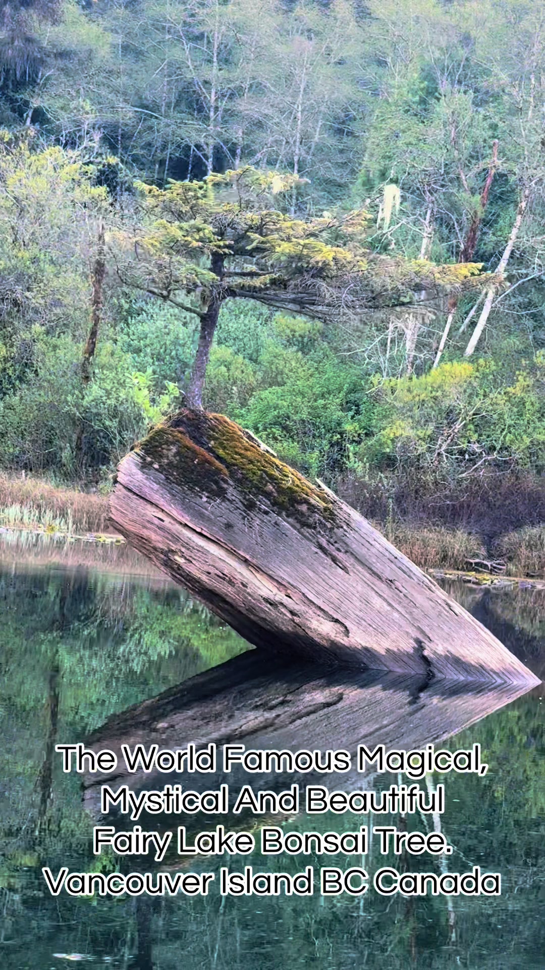 @Vancouver Island BC Canada