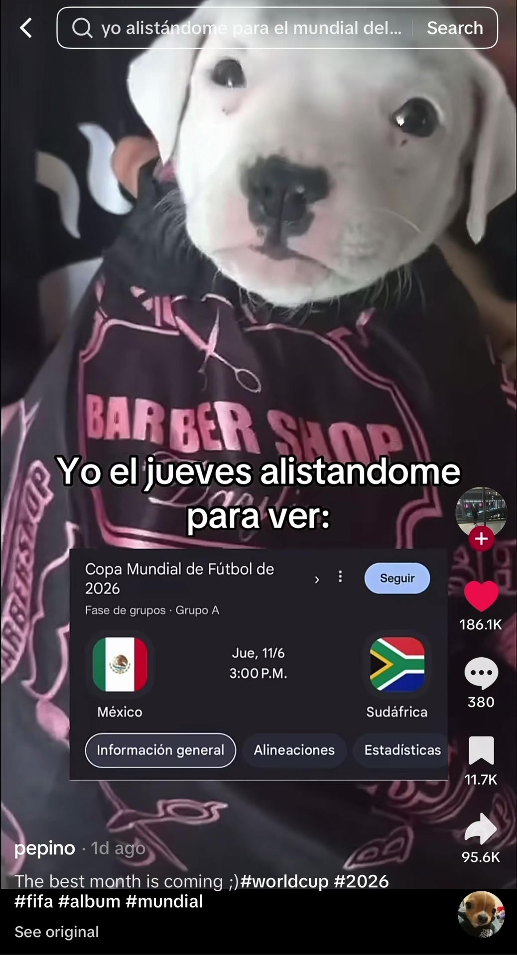 @chanchito