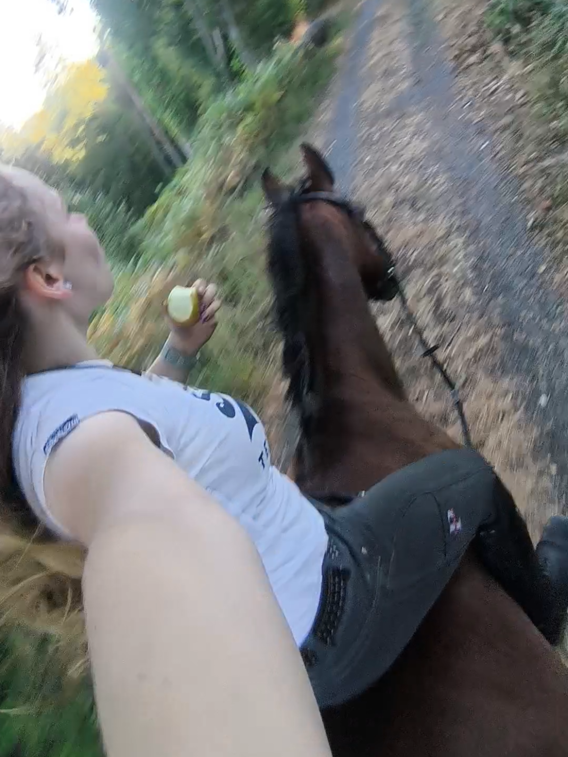 @Spring"Pony"Casha