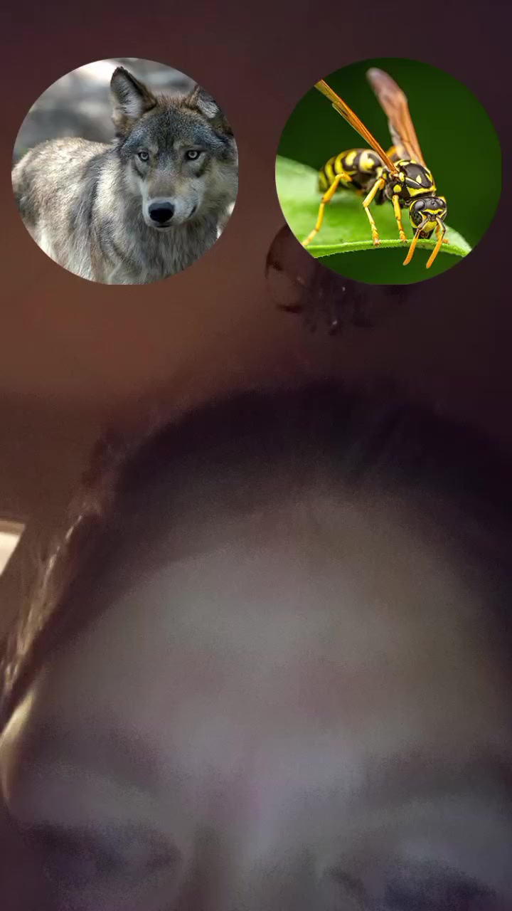 @Ирина