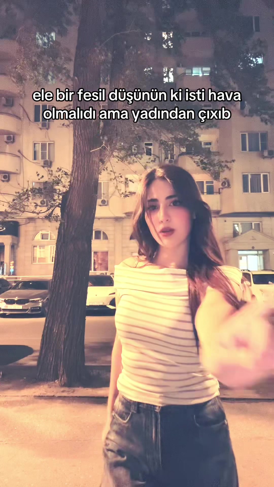 @aisvne