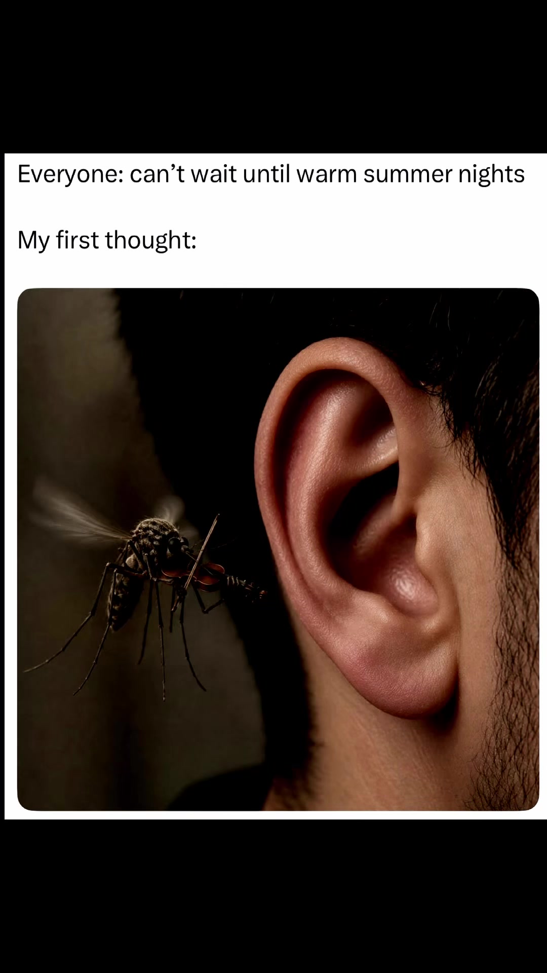 @Cortez80