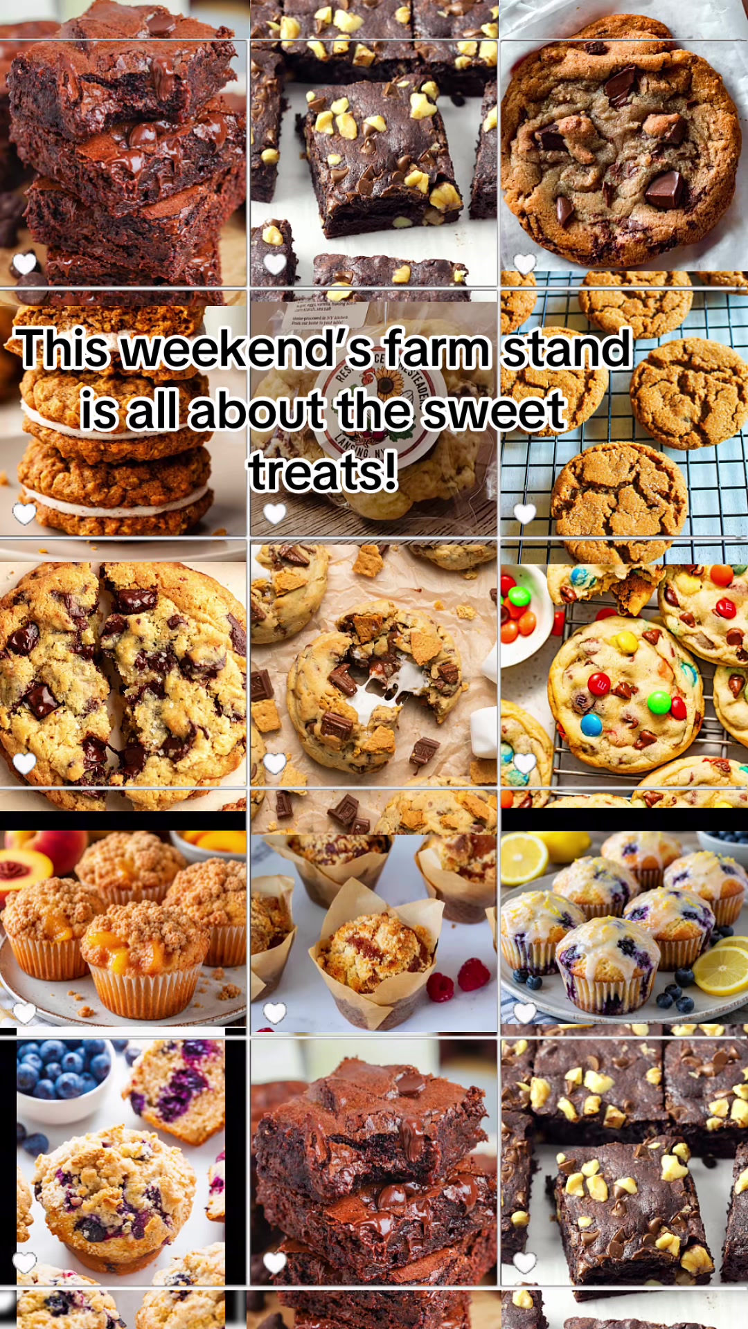 @Resistance Homesteaders