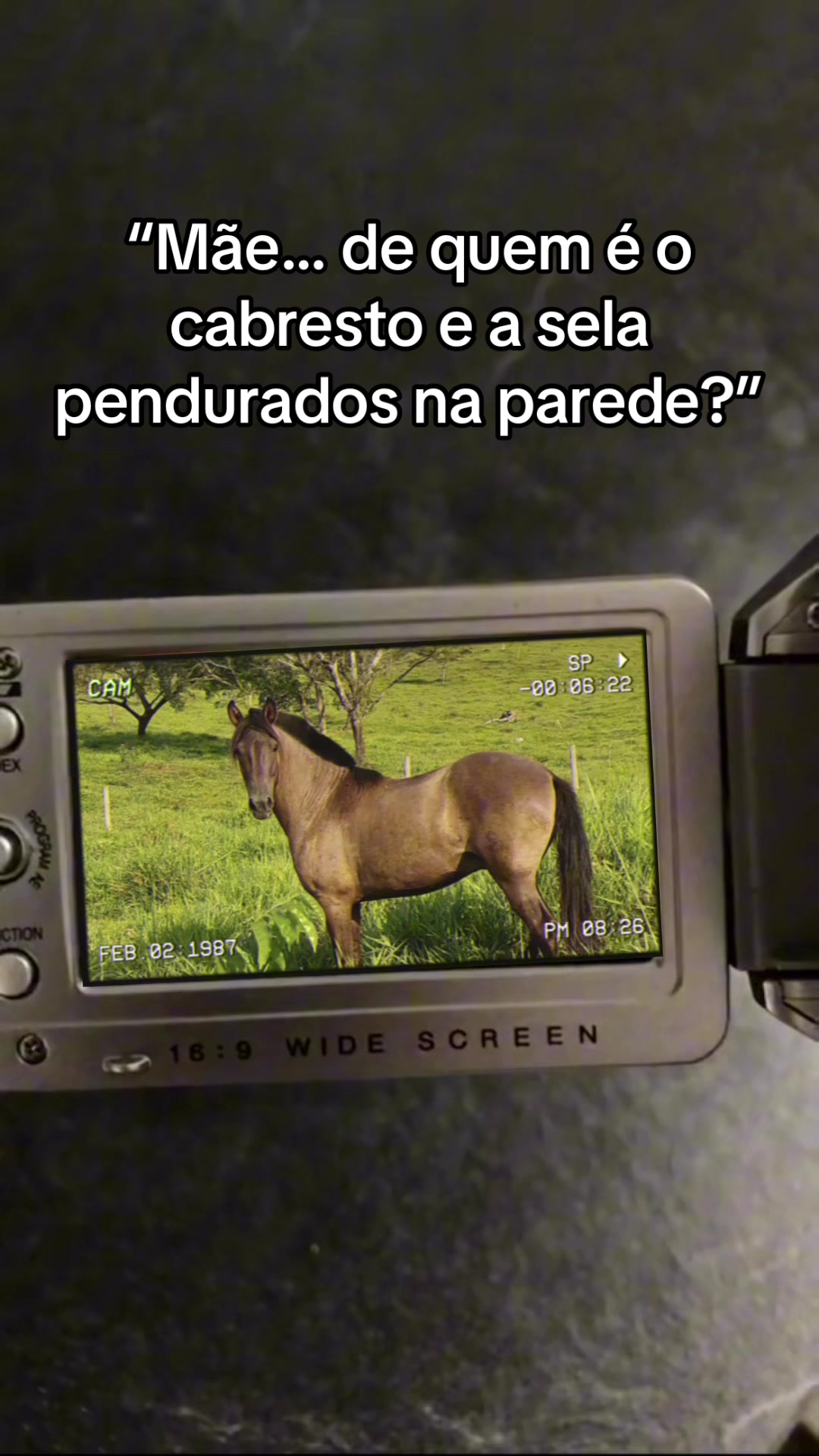 @Nayara Rocha🐴
