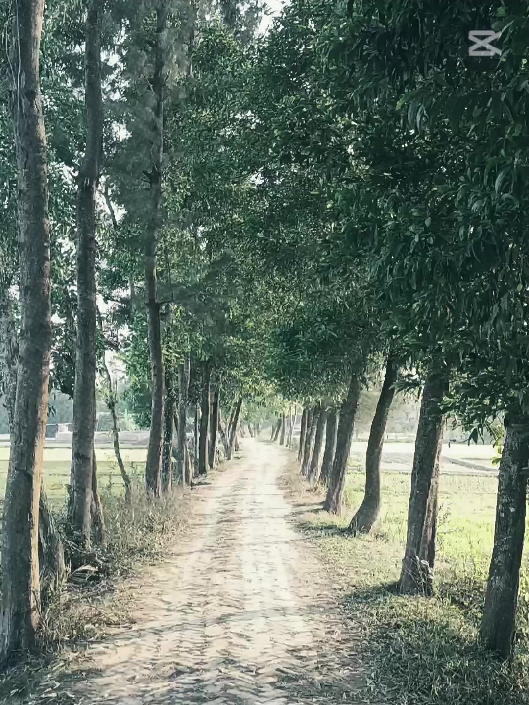 @mdShakil07