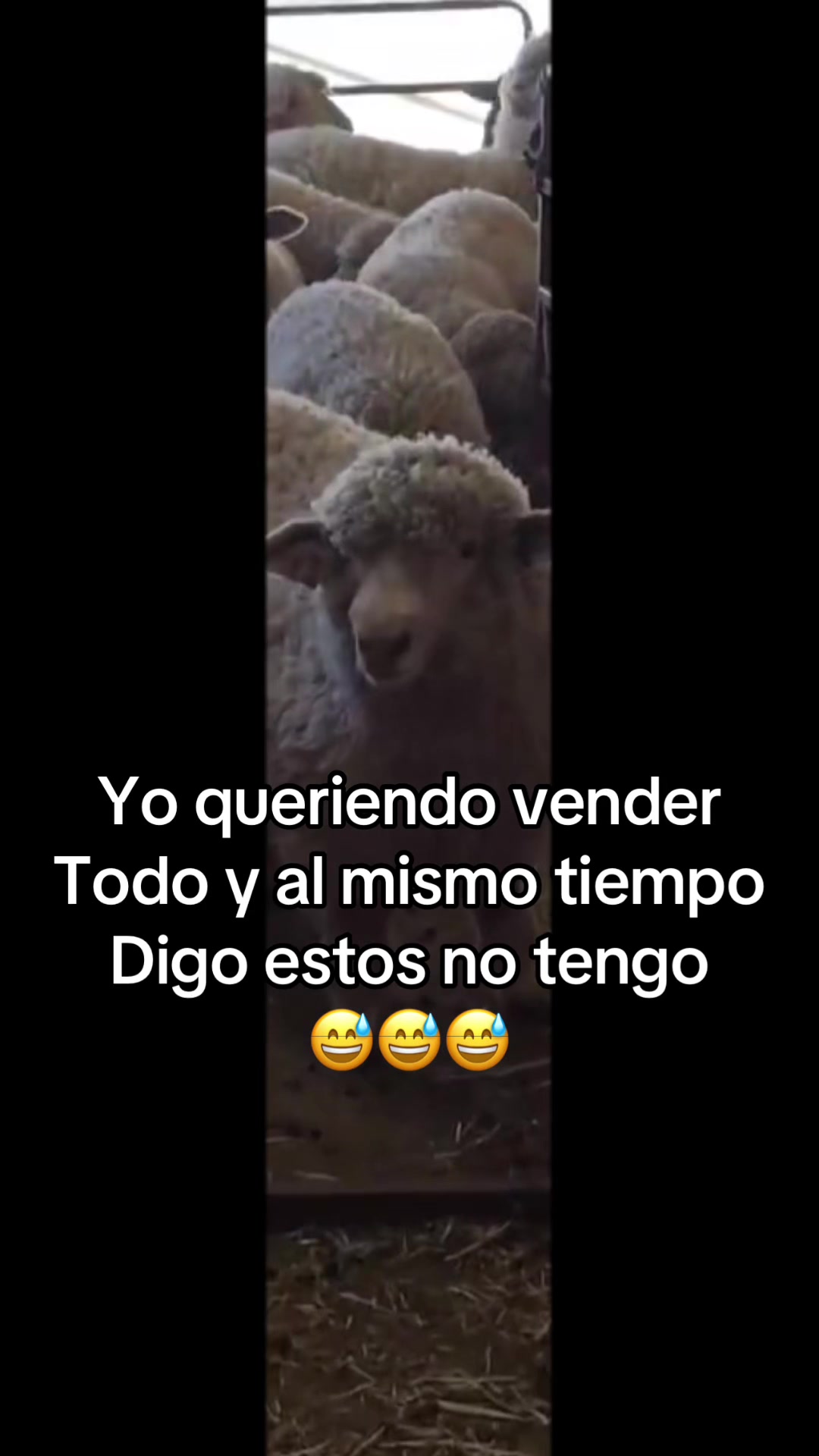 @Marlene