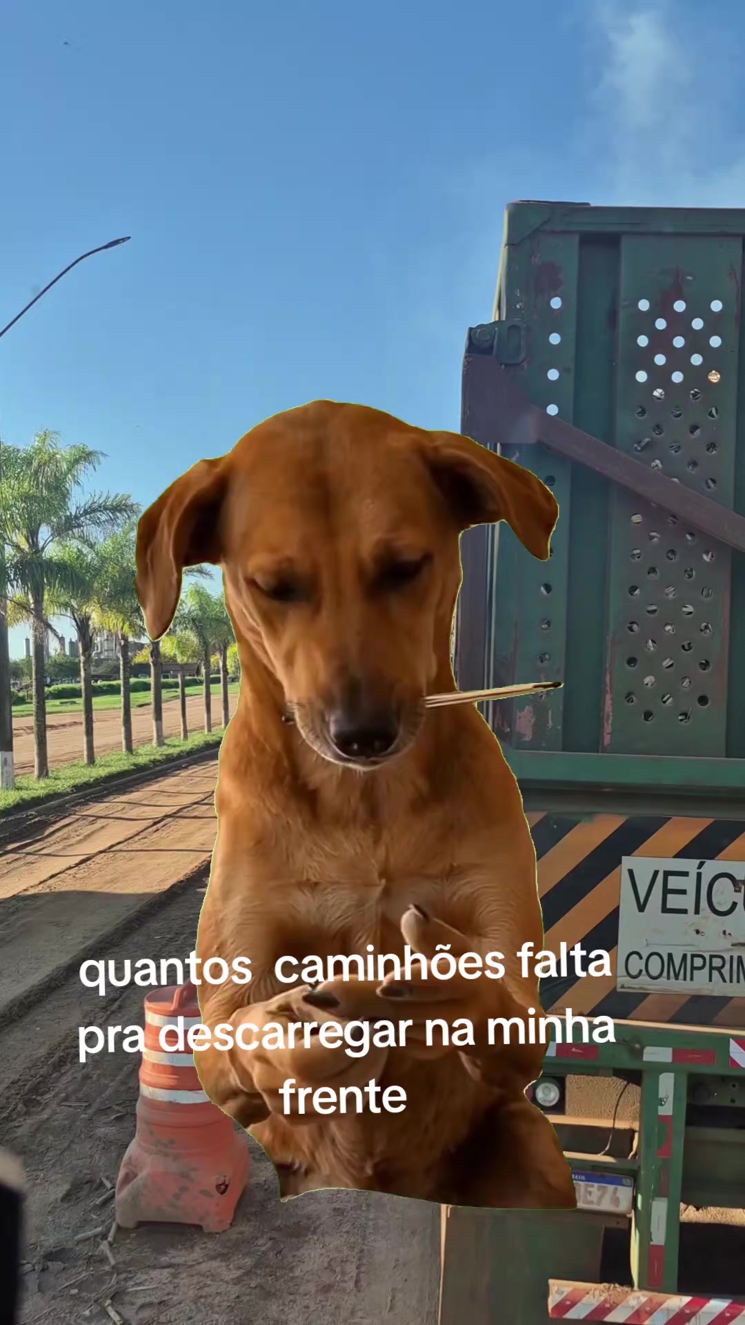 @Liliana Garcia