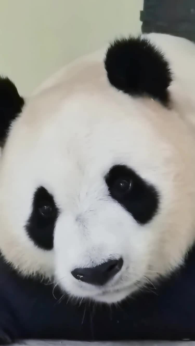@aaaaaaaa16