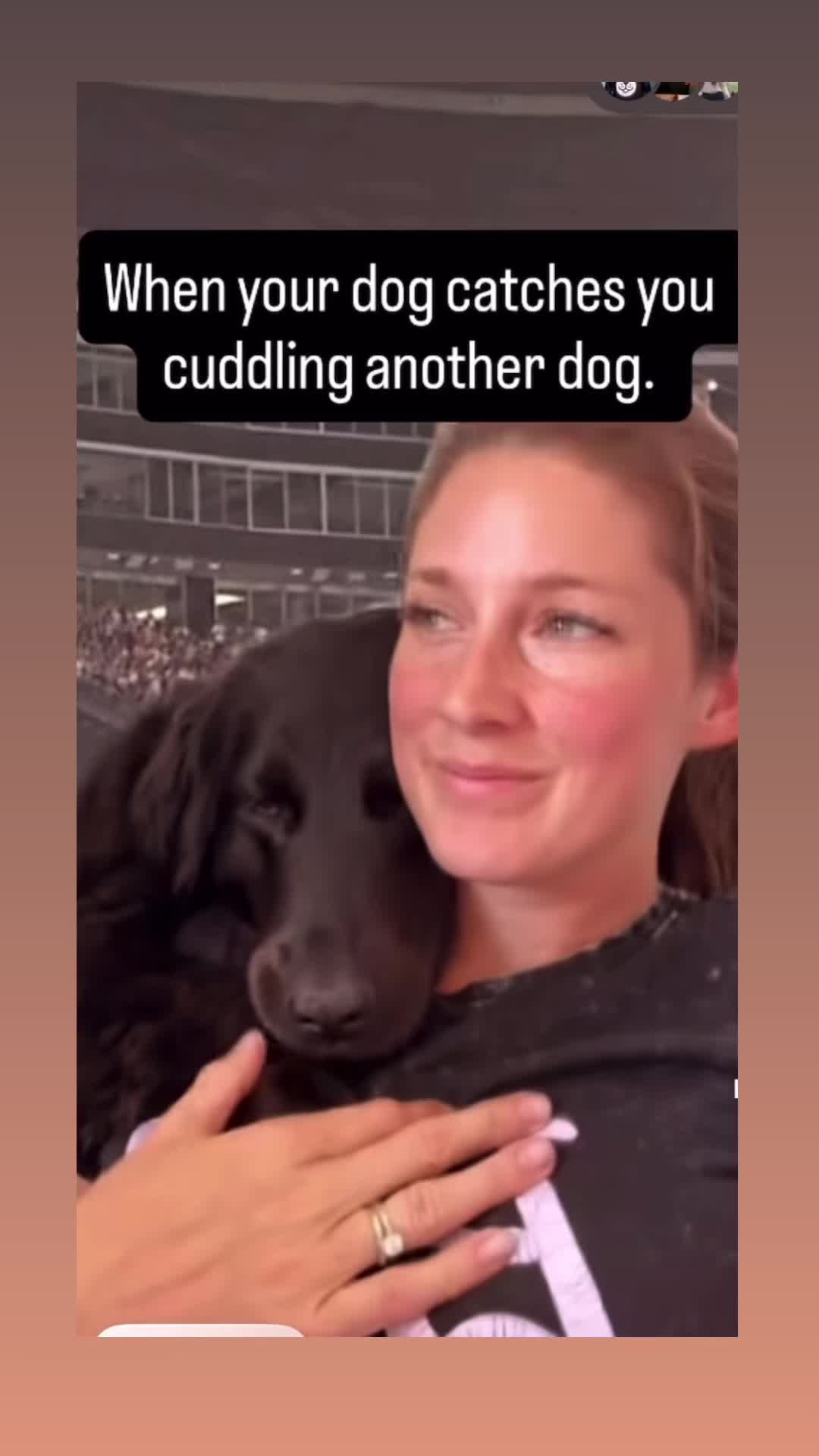@KAY_THE_DOG_BOSS