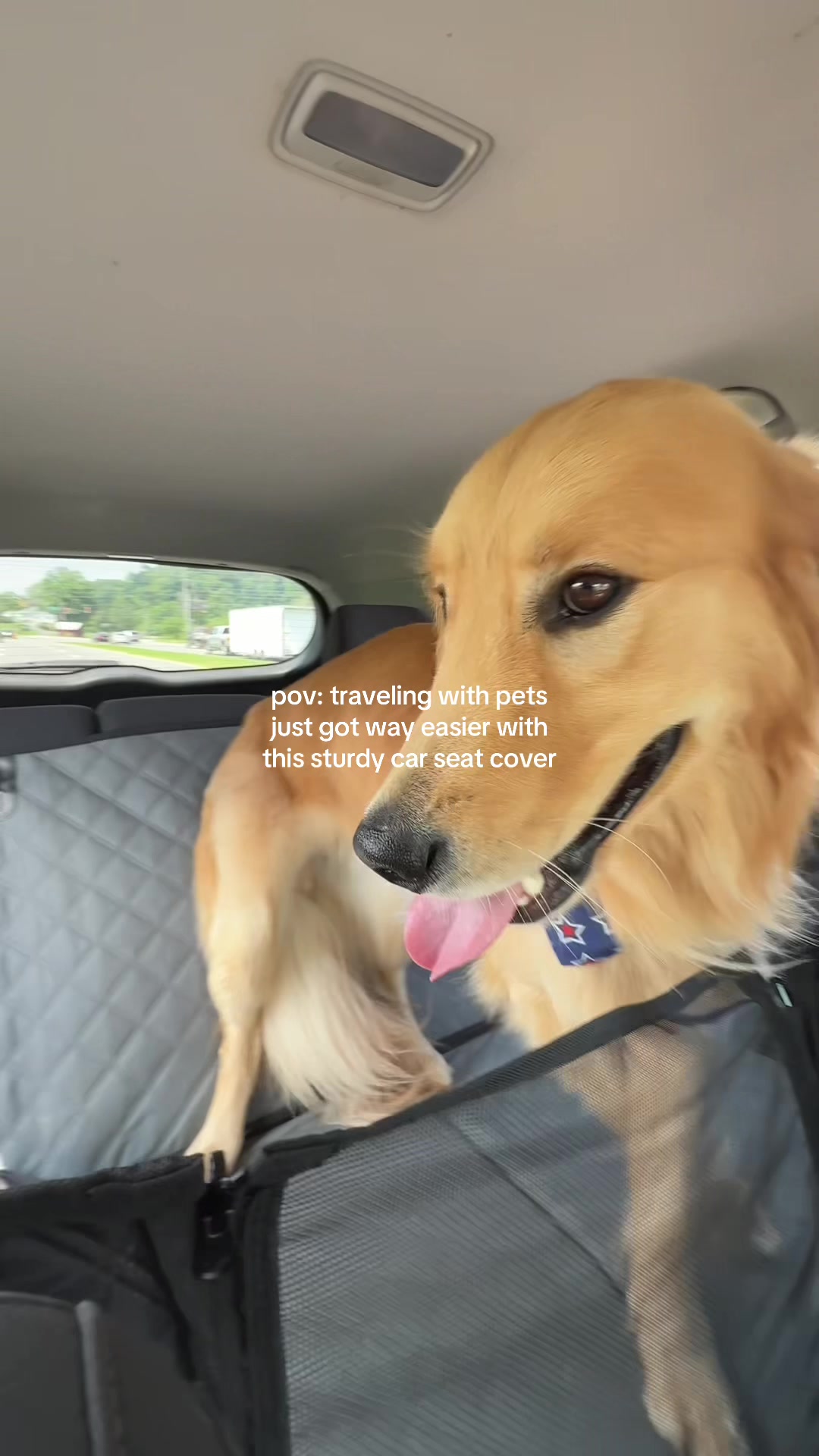 @Josi B🦮