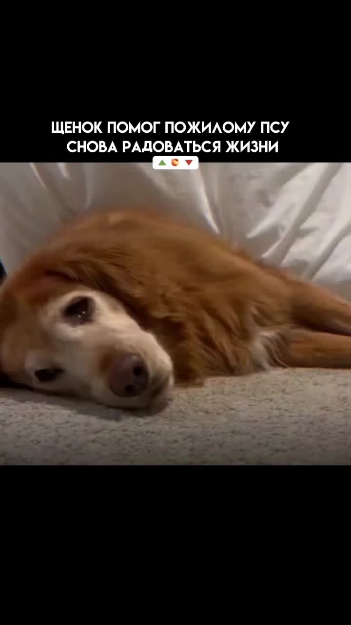 @Pikabu
