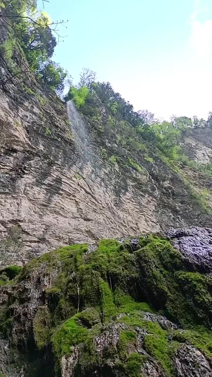 @kdsmcx