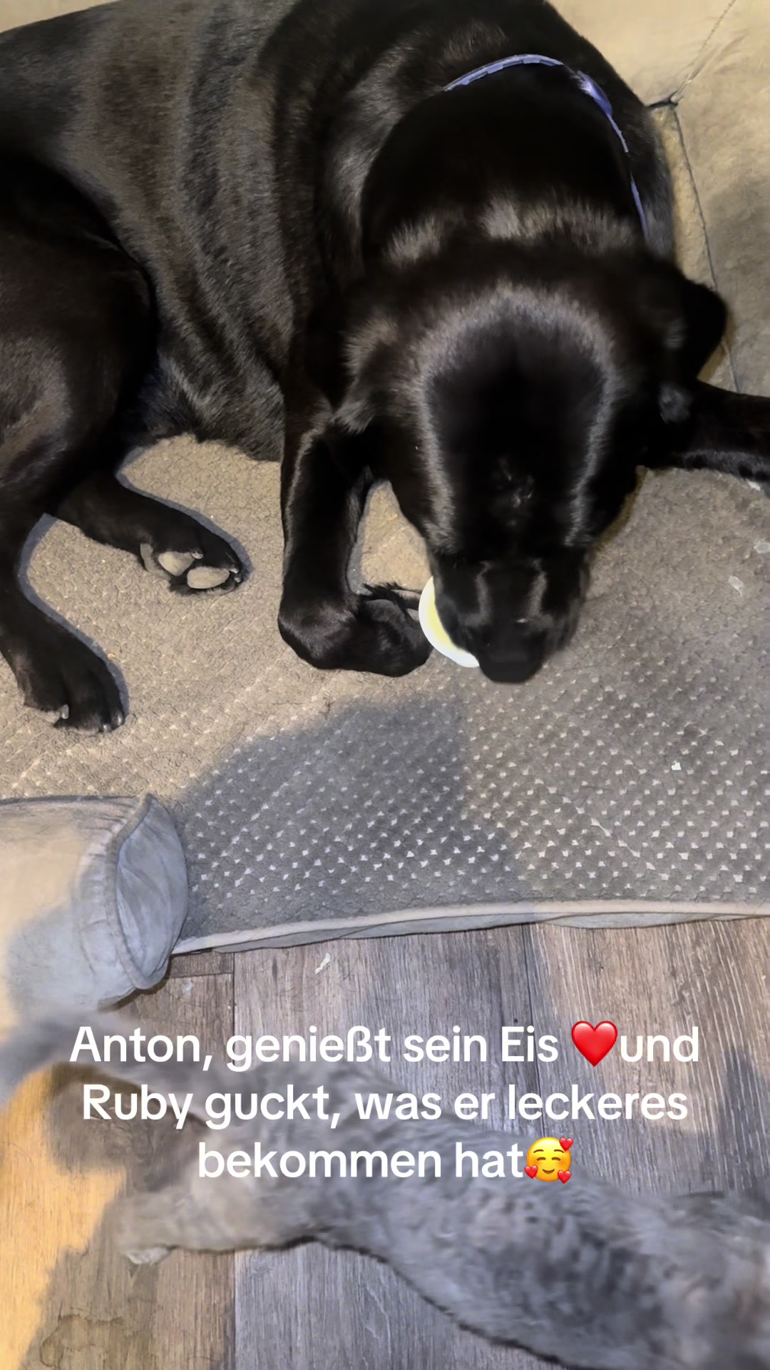 @Tanja