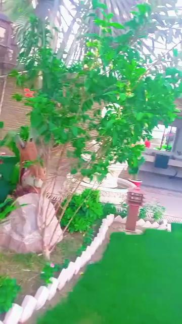 @Mirpur khas