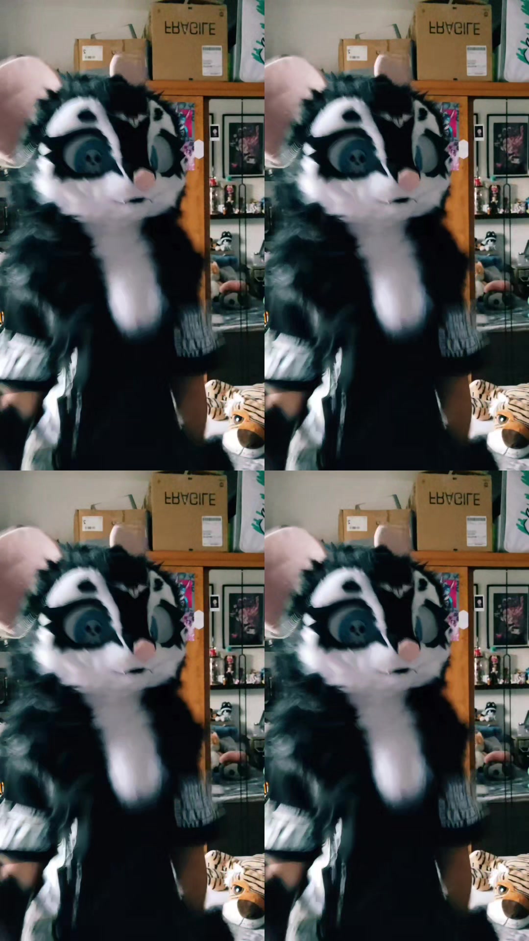 @Shysako.Fur