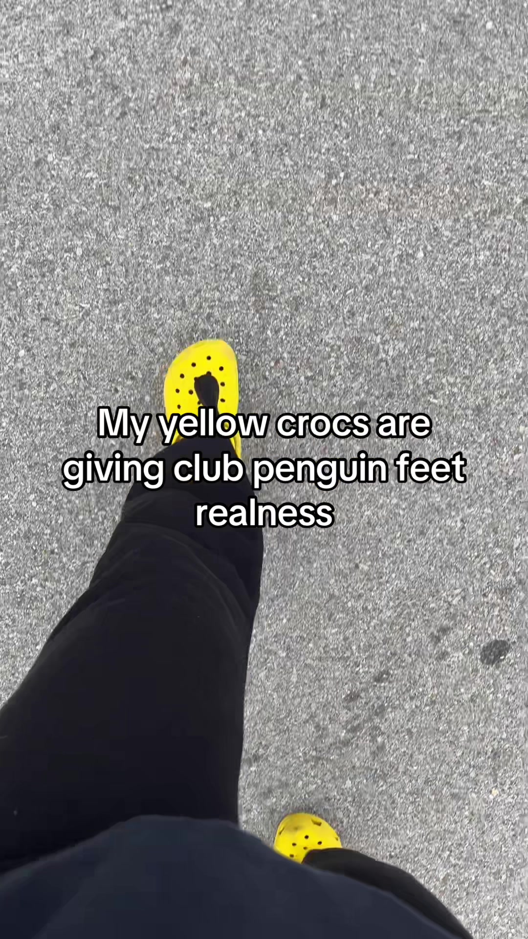 @snorpal