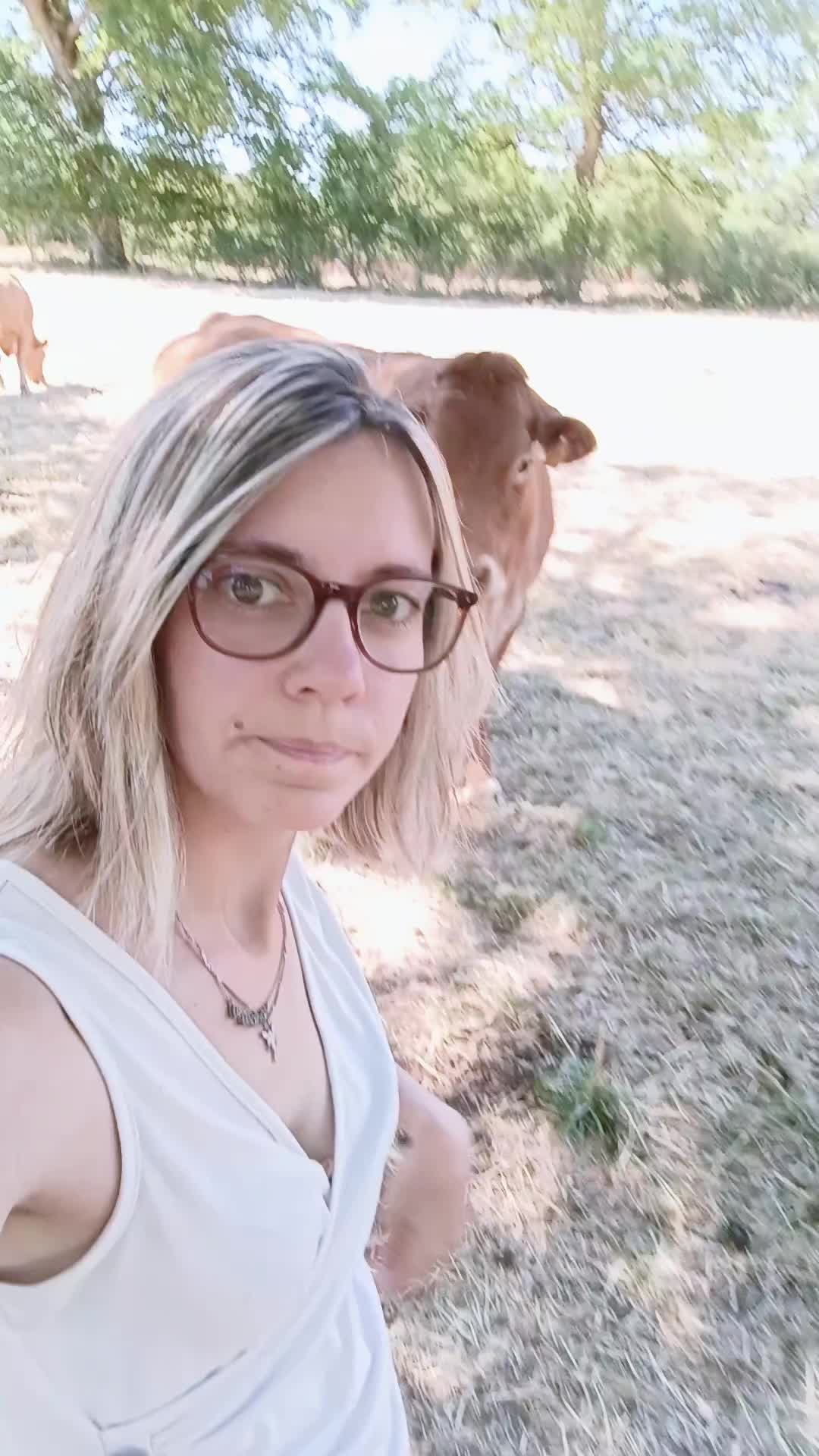 @Ludivine 🪶🐶🐮