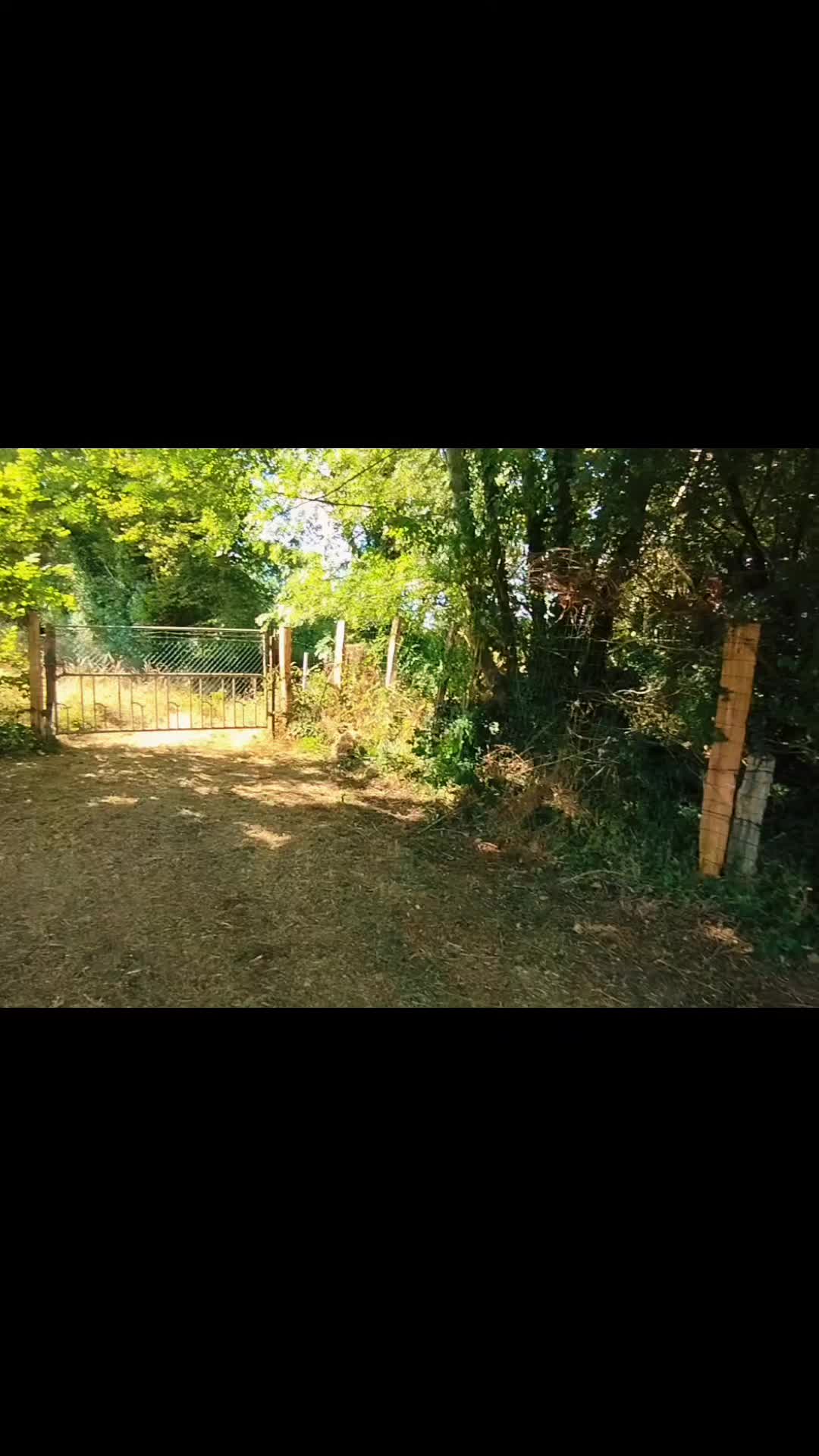@Lyrics-Lion
