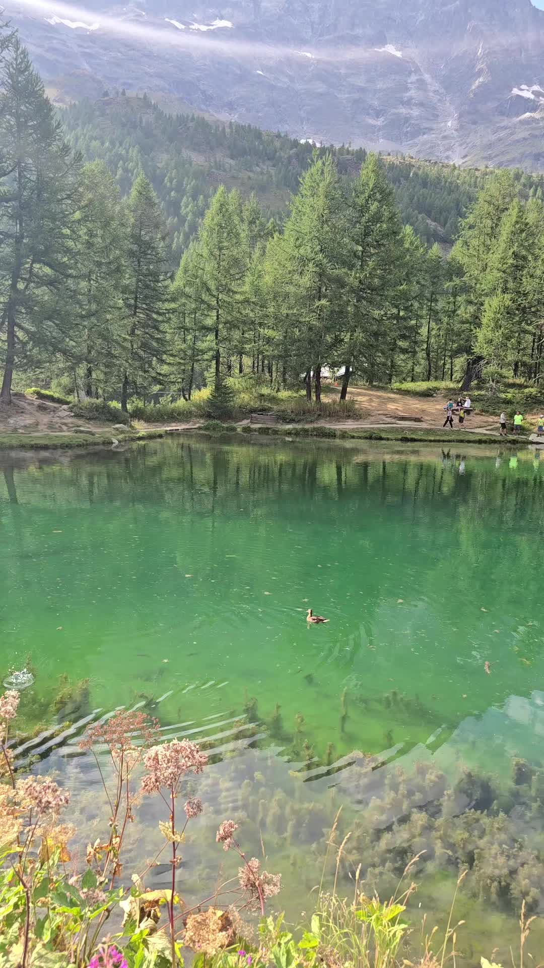 @Michela.Siciliano