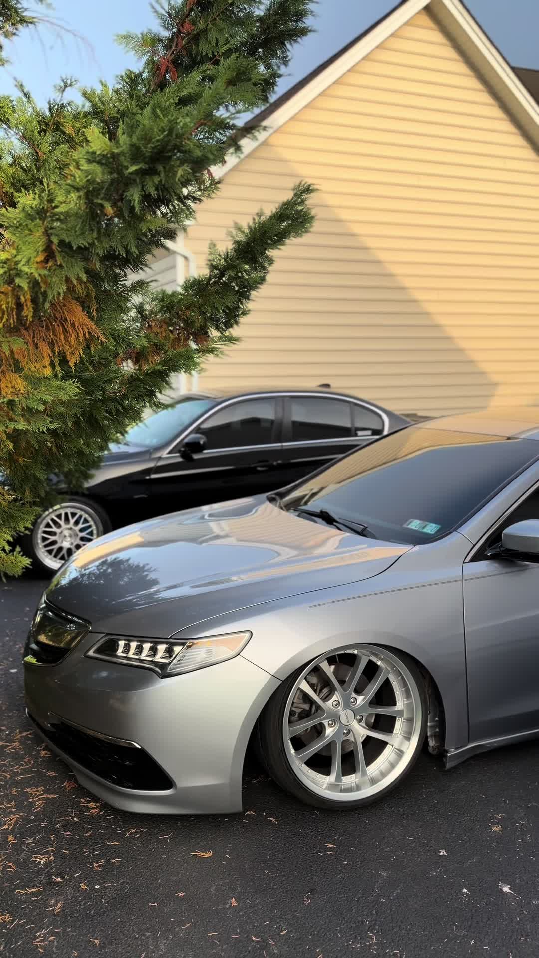 @tlxtino