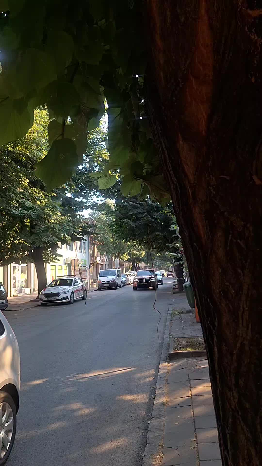 @Страхор