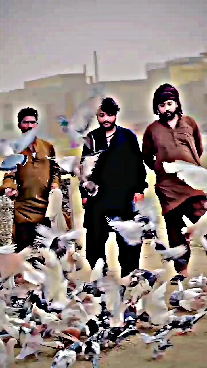 @عدیل رحمن لیہ وال کبوتر باز