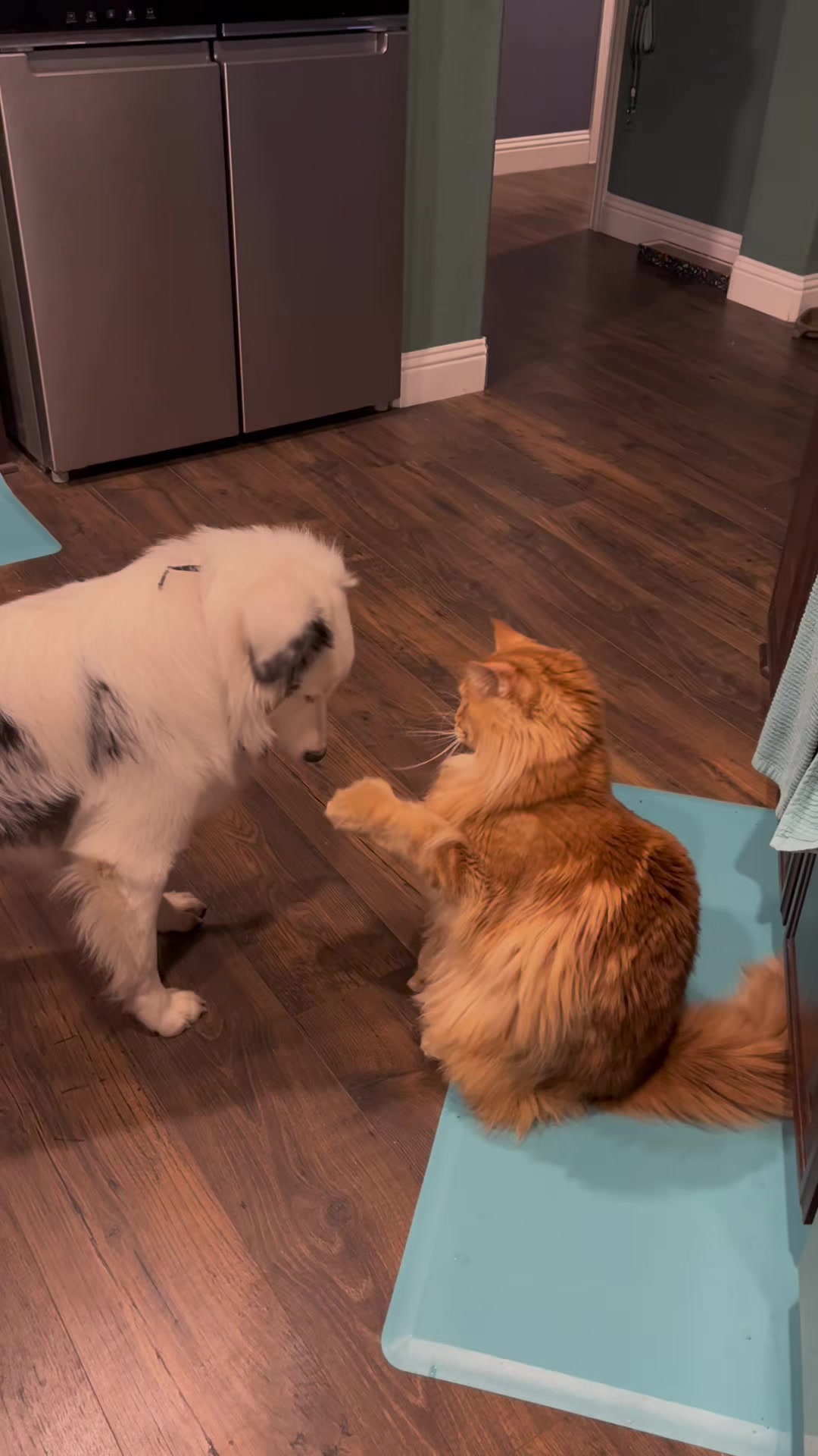 @Theodore Scritches McWiggles