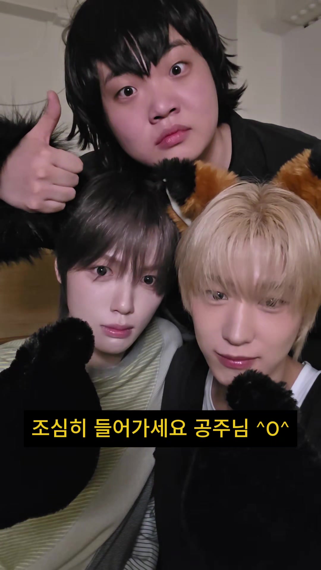 @팔리아치