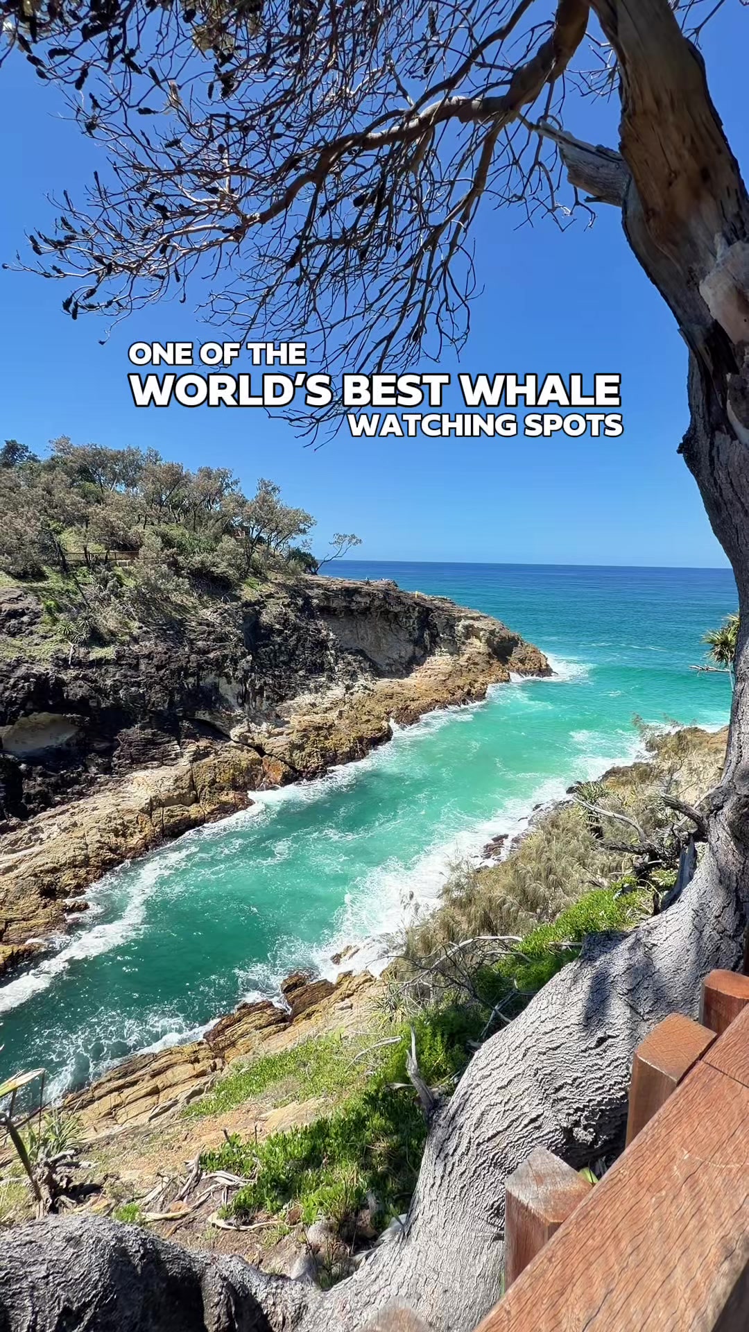 @BRISBANE