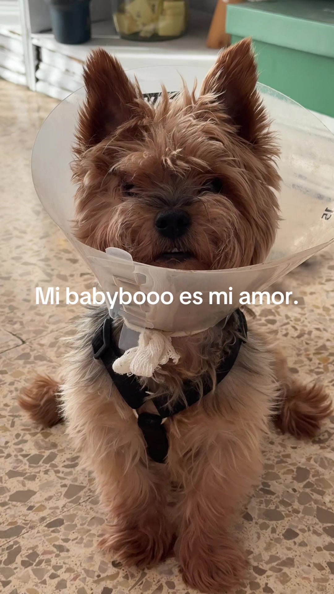 @✨María ✨