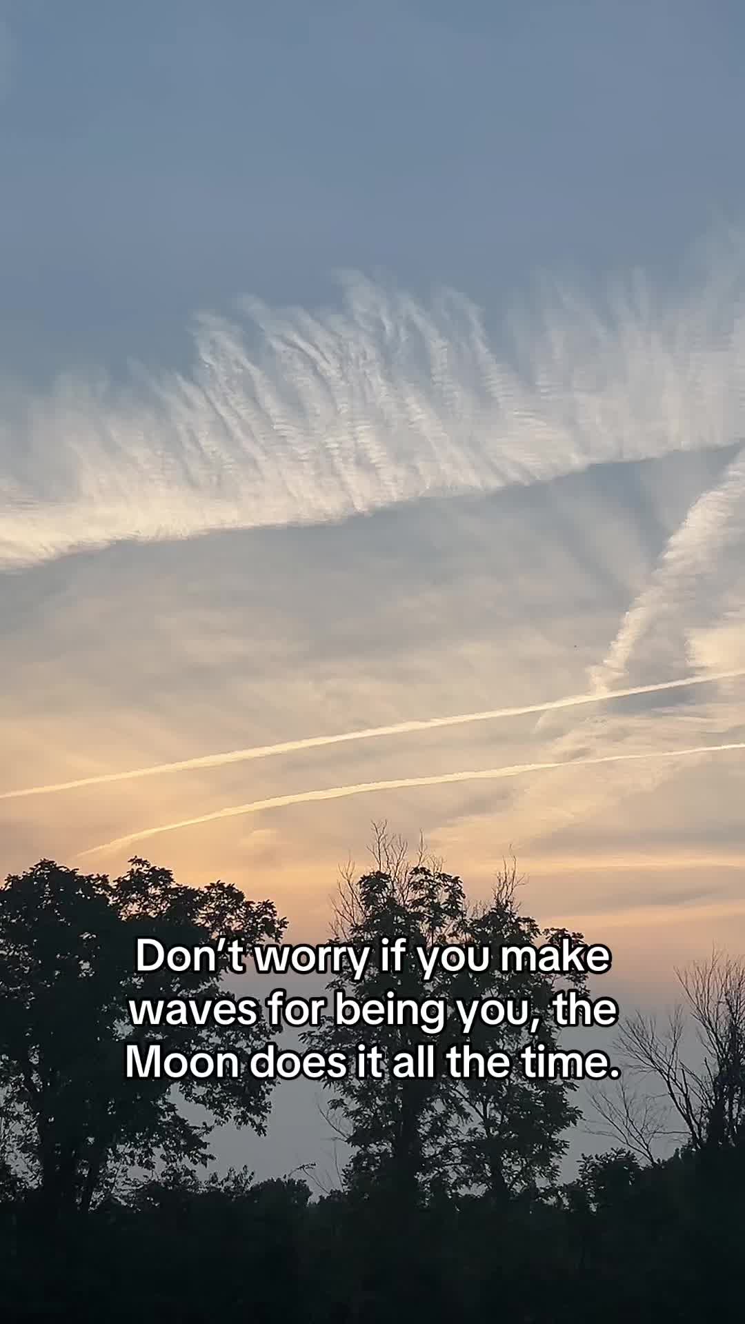 @Reese