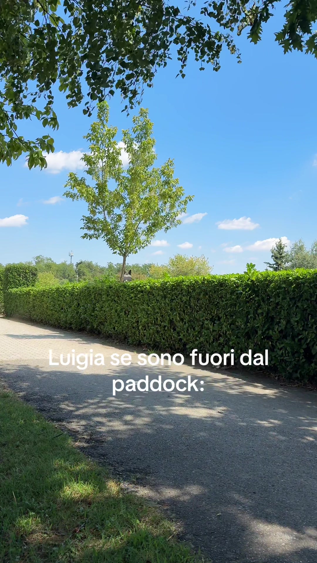 @Giulia Pellecchia