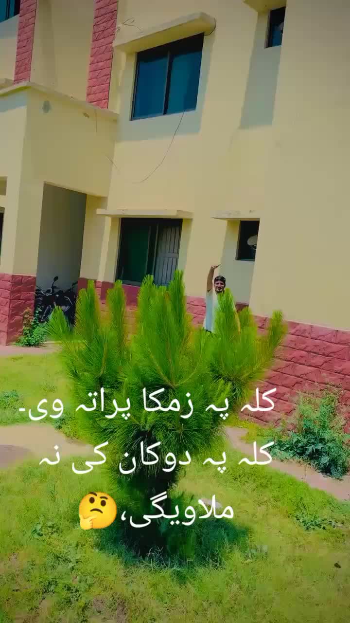 @Naikamalshah