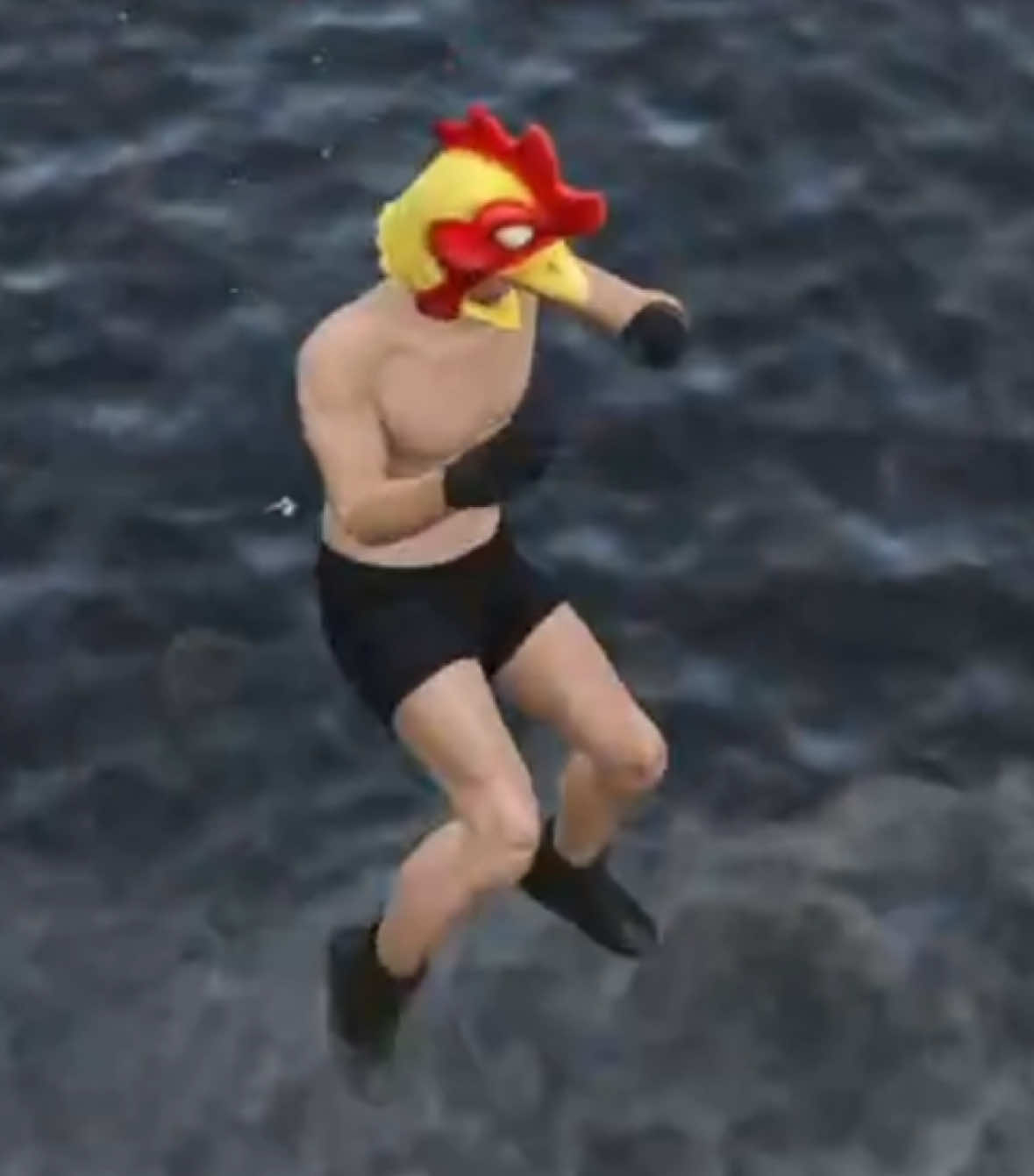 @atom_chicken