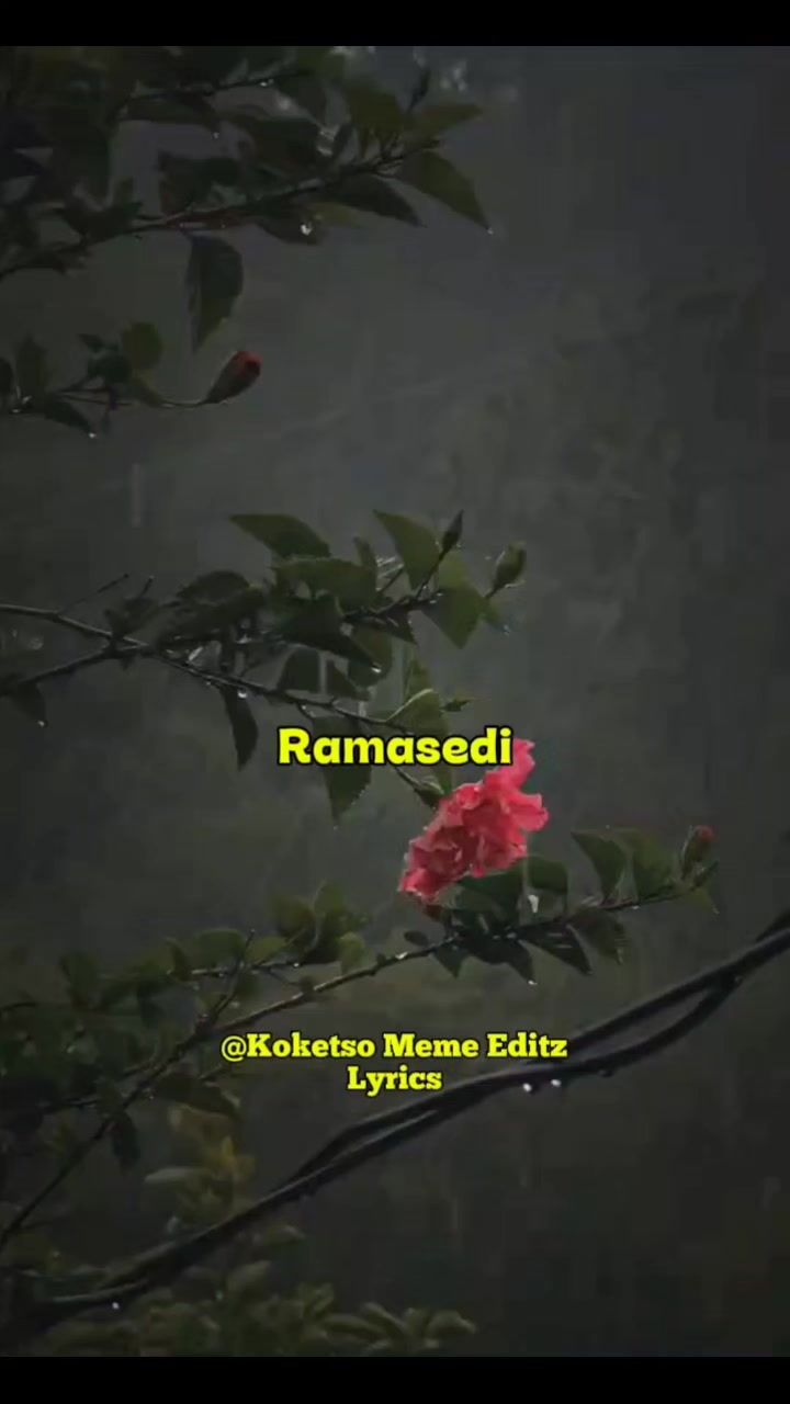 @Koketso_meme_Editz