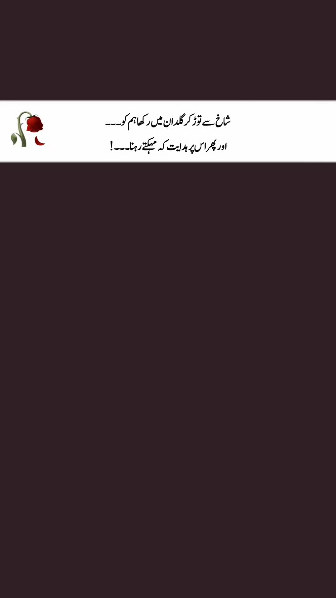 @🦋اندازِبیاں🥀