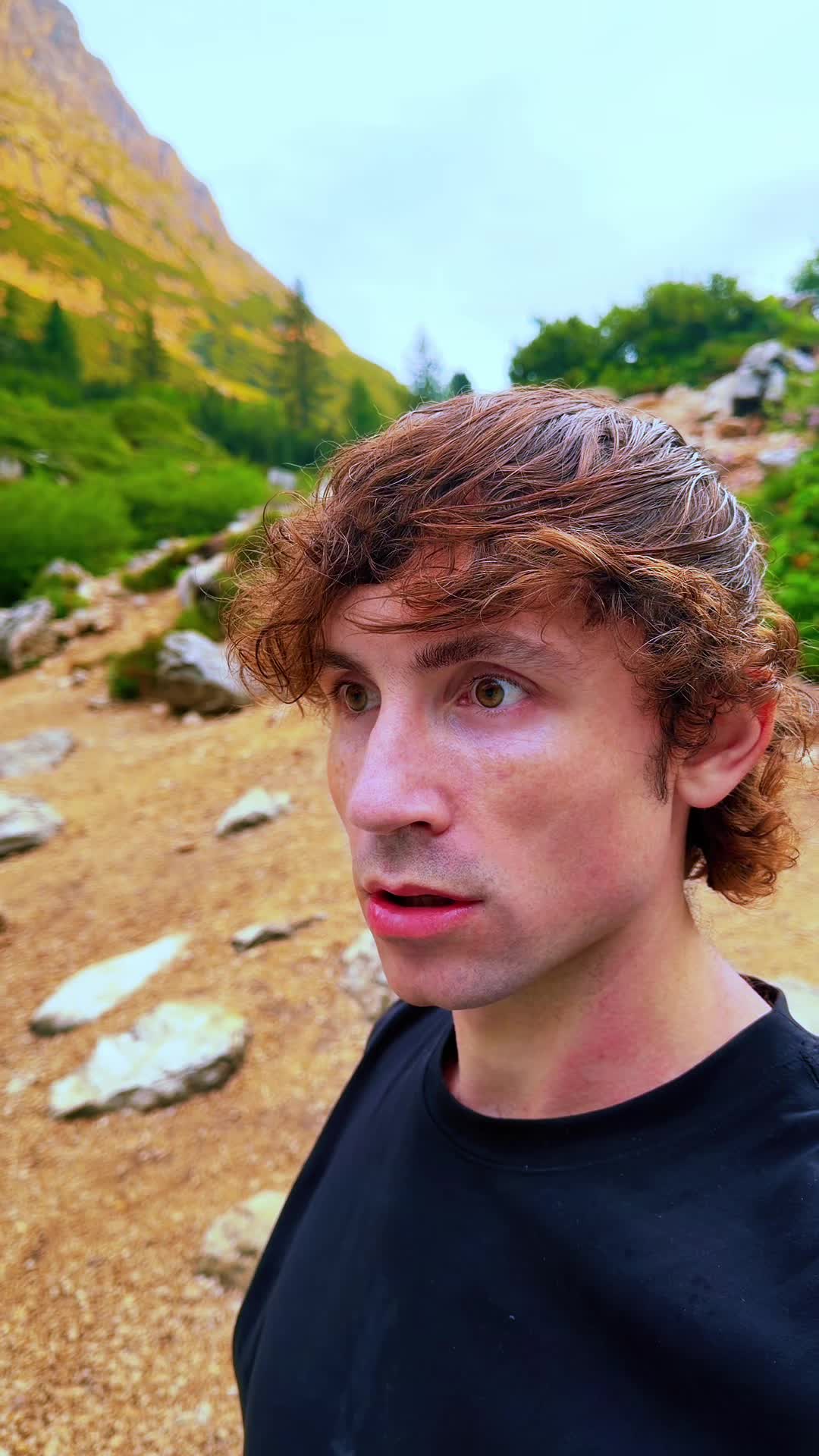 @mega